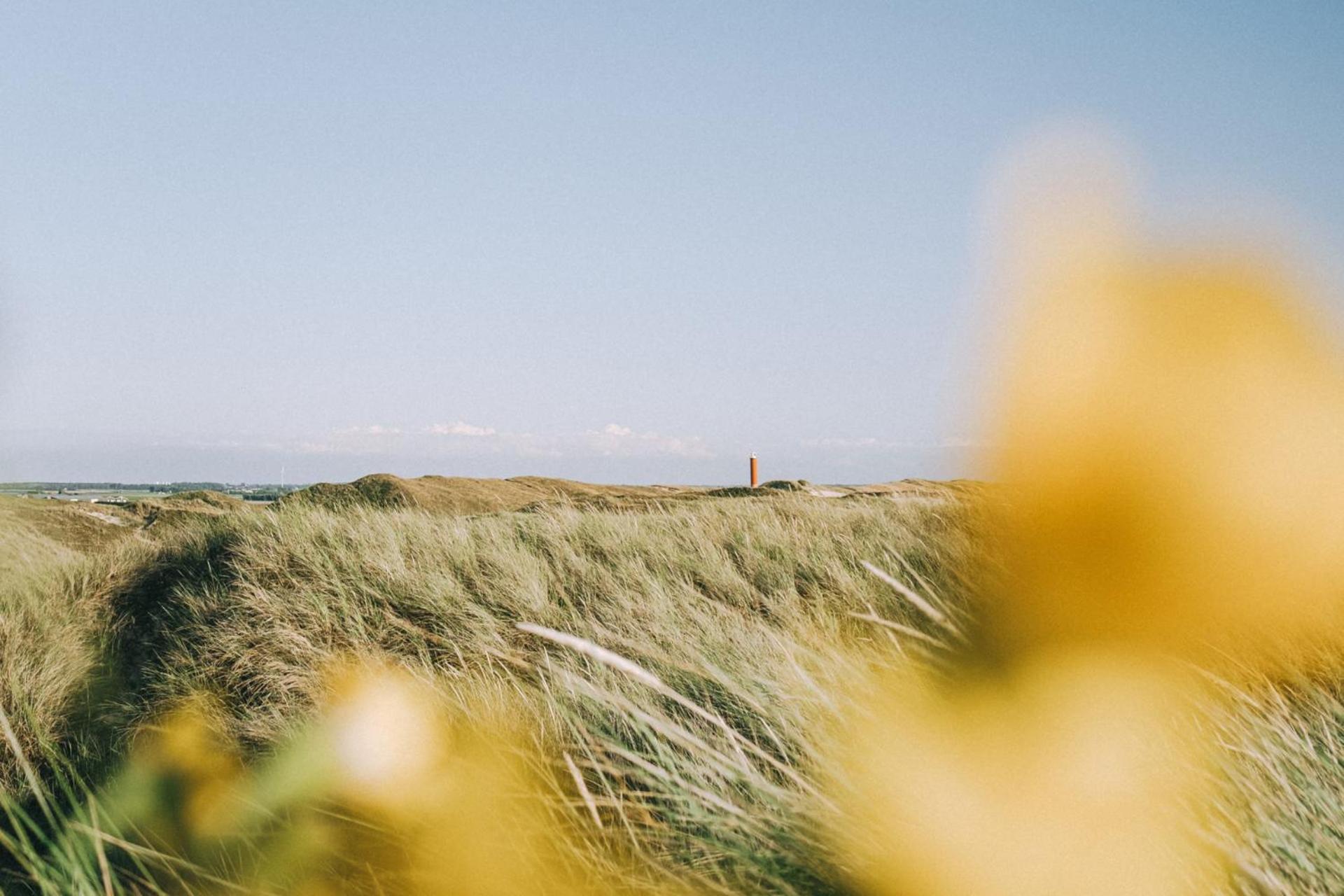 De Duintuin - In De Duinen, Groote Keeten Aan Zee Callantsoog Exterior photo