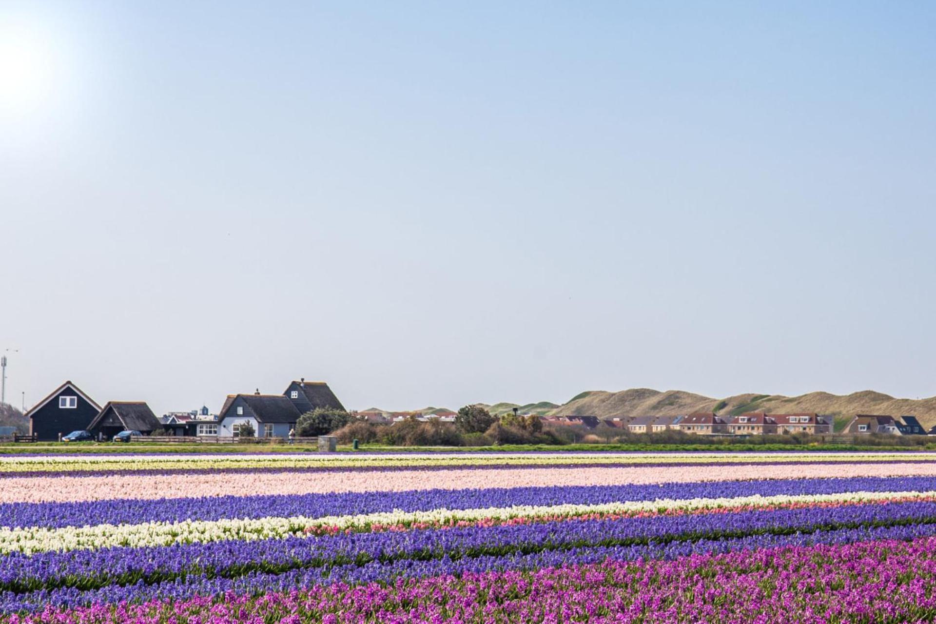 De Duintuin - In De Duinen, Groote Keeten Aan Zee Callantsoog Exterior photo